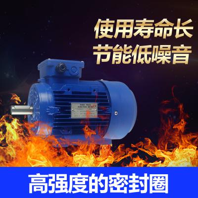 MS系列鋁殼電動機